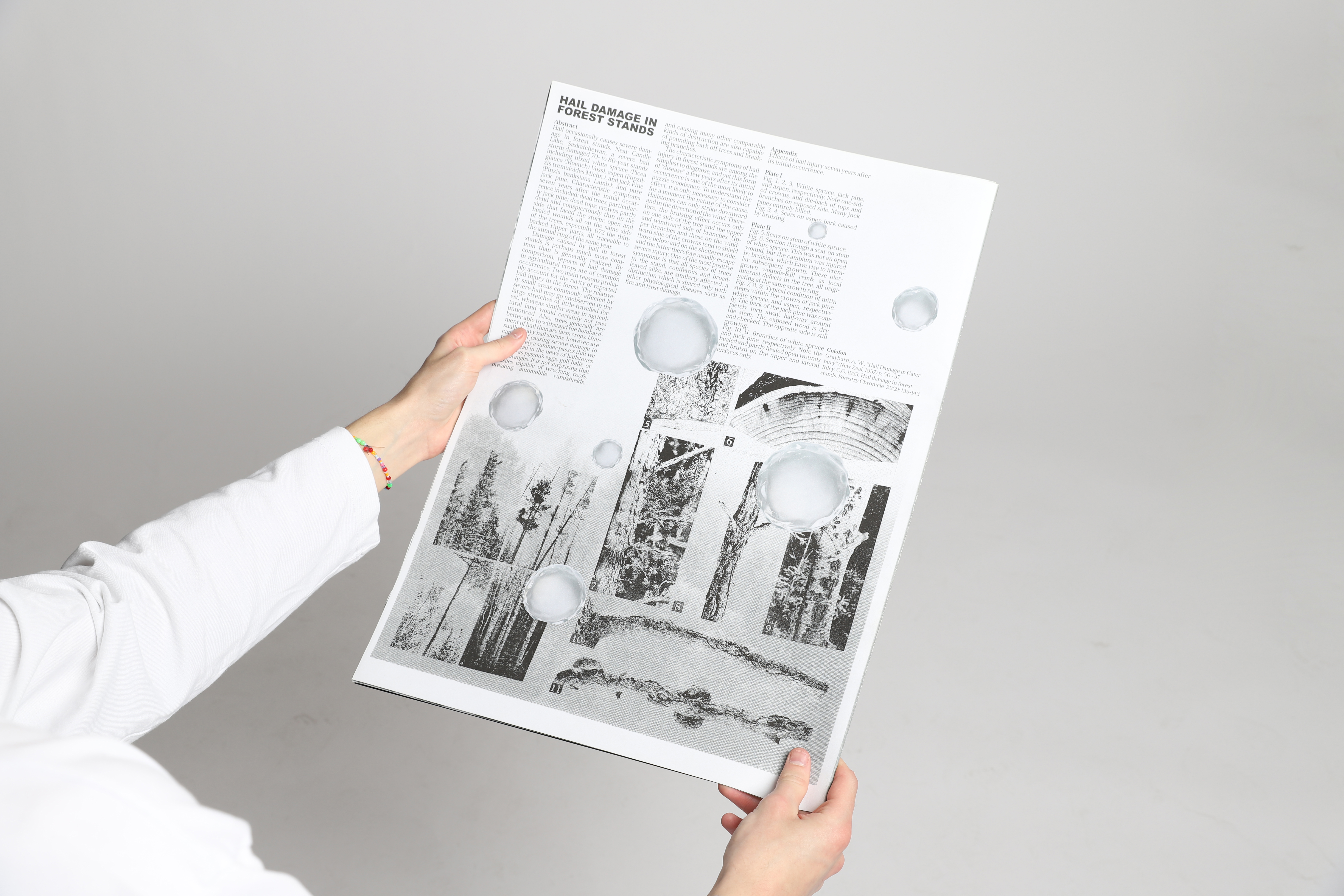 Disaster newspaper 4
