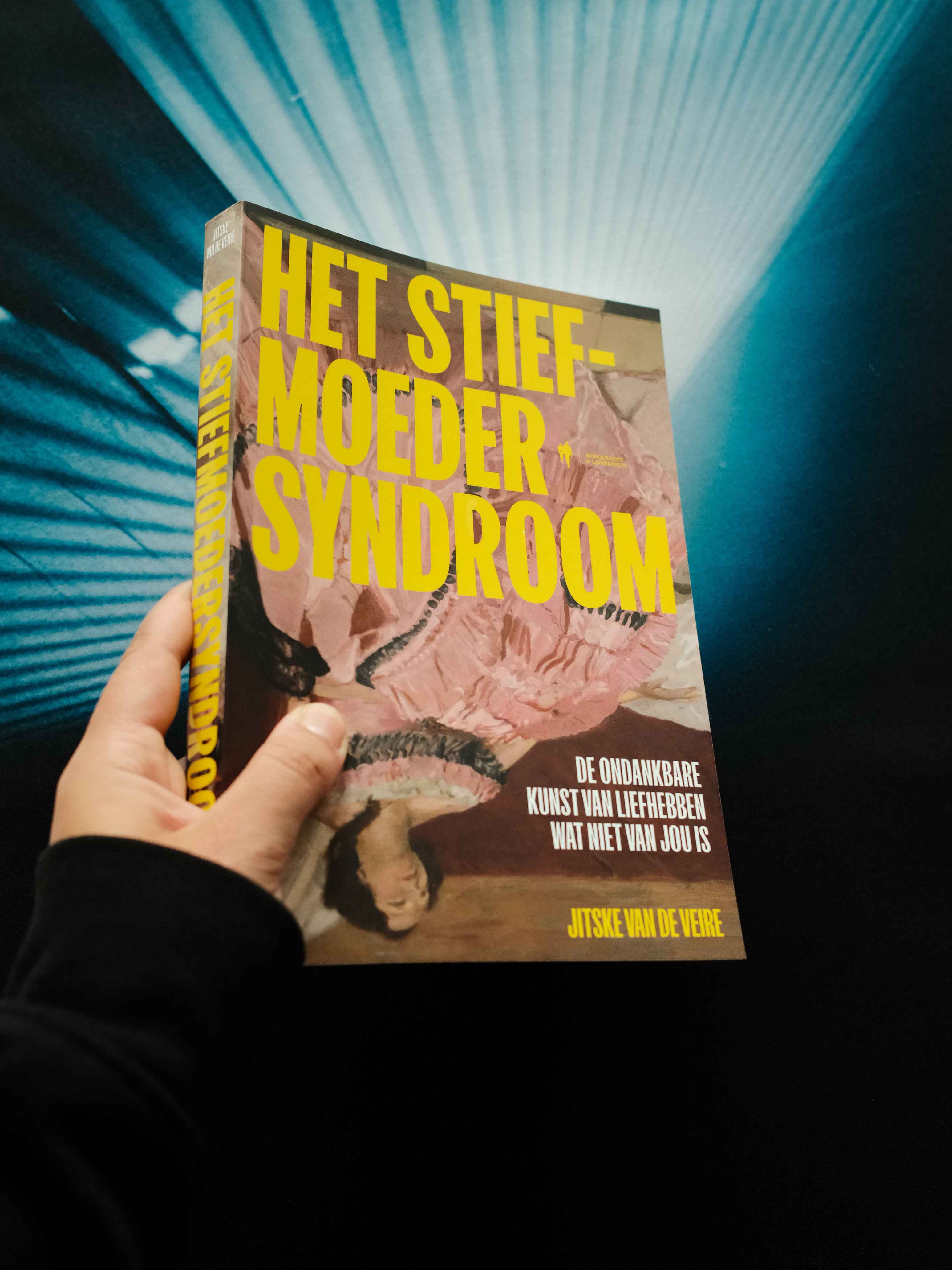 Het stiefmoedersyndroom 10