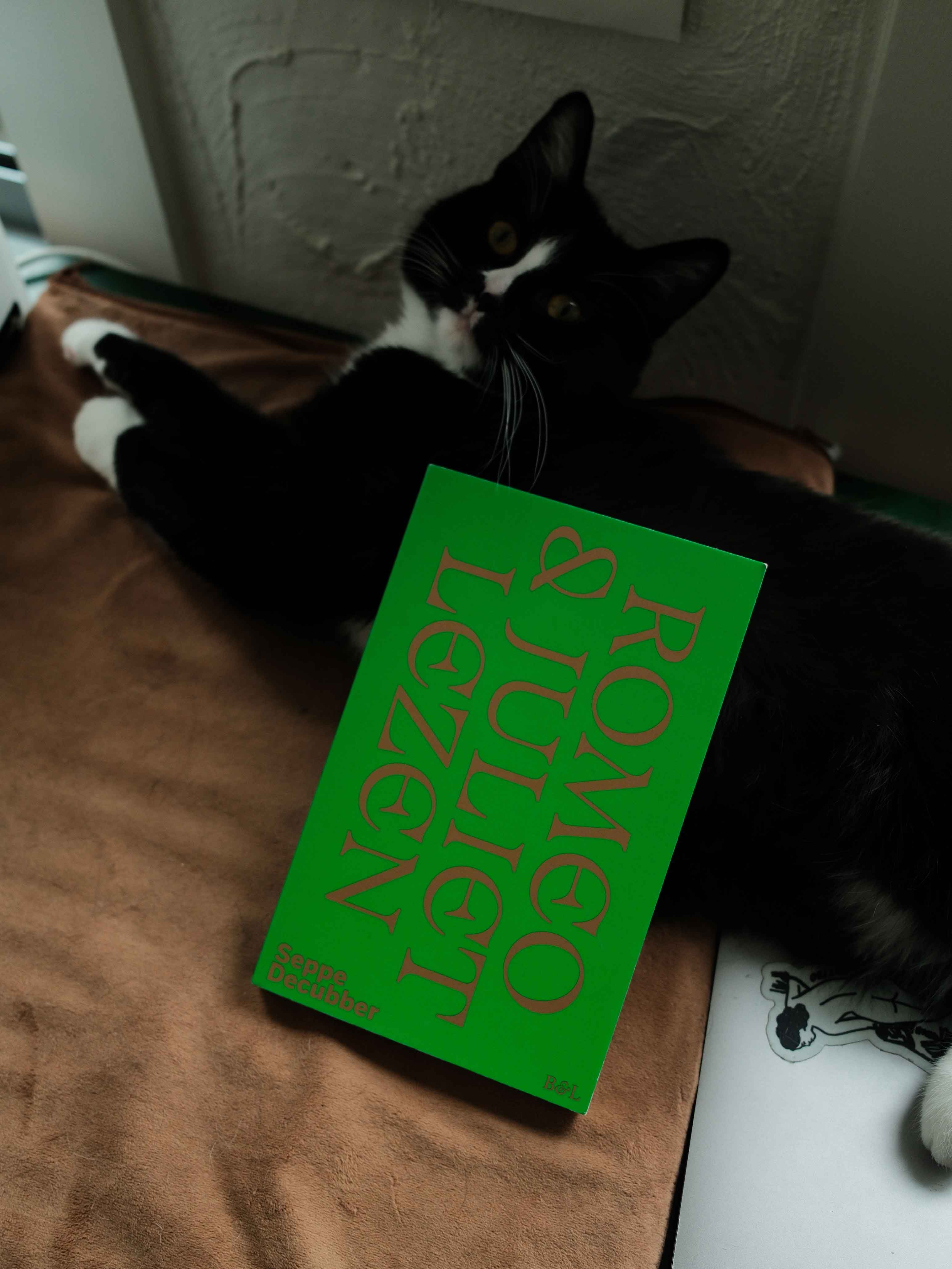 Romeo and juliet lezen