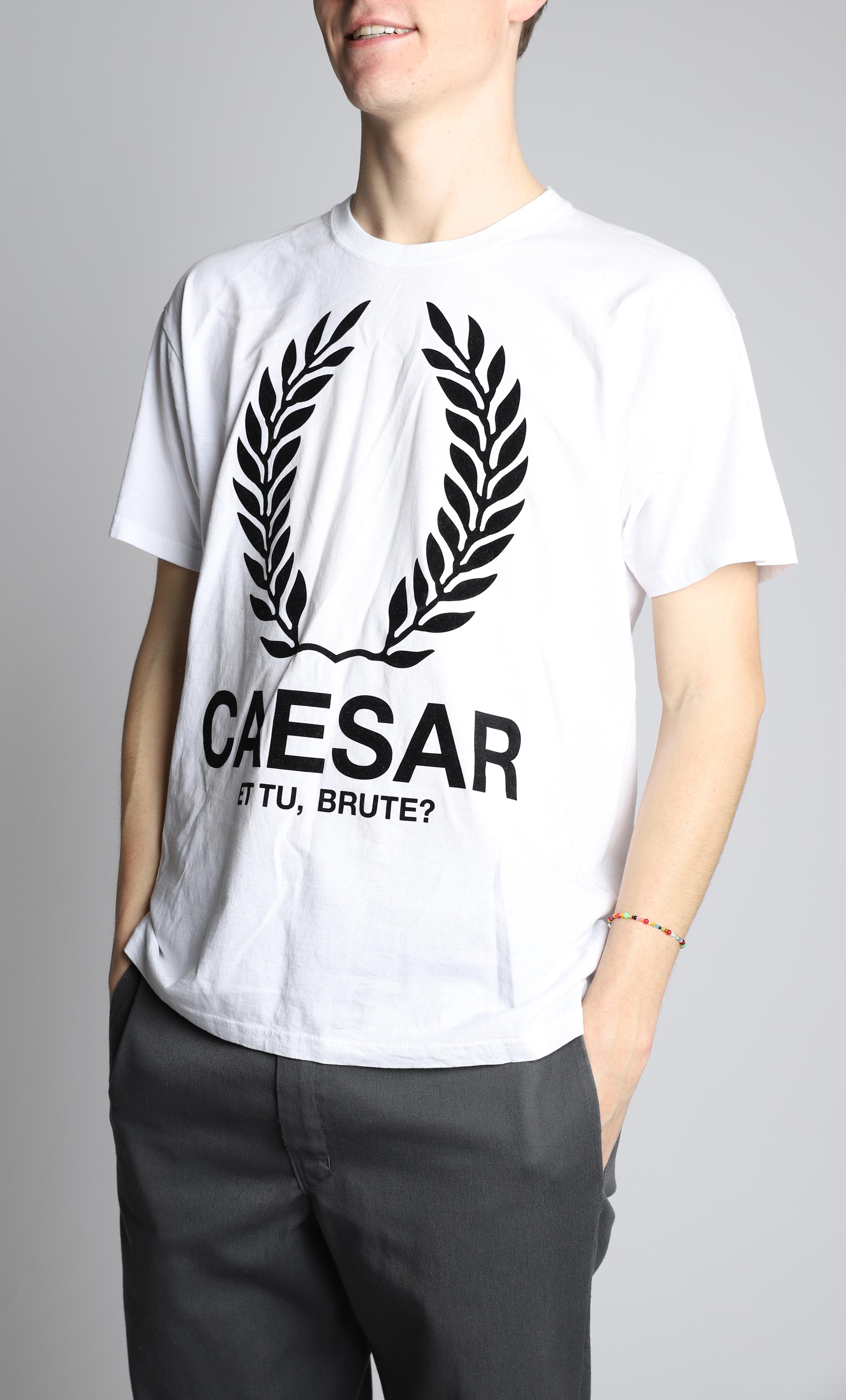 Shakeshirt